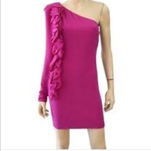 Robert Rodriguez Pink Ruffle One Shoulder Dress